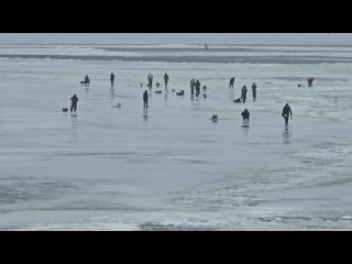 Уважаемые петербуржцы, кронштадтцы!   Дирекция комплекса защитных сооружений предупреждает любителей рыбной ловли об... (видео)