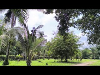 Kho Chang Tailand  дорога к морю