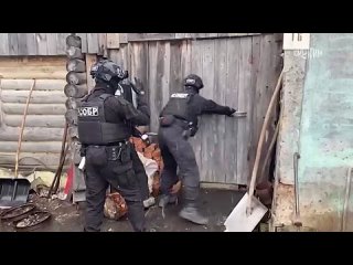 Силовики задержали 57 администраторов неонацистских телеграмм-каналов, в которых учили устраивать теракты    ФСБ... (видео)