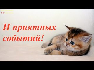 видеооткрытка_с_добрым_утром_субботы.mp4