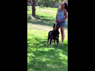 🥰 Доброе утро, Ростов! (видео)