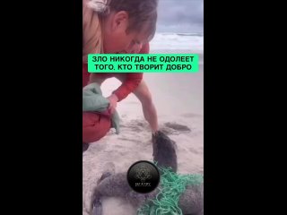 Дай бог вам здоровья крепкого, спасибо вам большое - Света Морохова