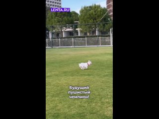 С таким спортсменом сборная России по футболу будет выигрывать все матчи!     Ставьте ❤, если согласны ... (видео)