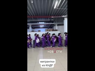 Мигранток из КНДР заметили на складе Wildberries в Подмосковье. Пресс-служба маркетплейса заявила о «пилотном проекте»... (видео)