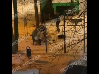 48-летний пьяный мужчина убил 78-летнего пенсионера из-за того, что тот кормил бездомных кошек.  Одинокий пенсионер... (видео)