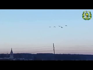 Нет такого района в Нижегородской области. Павловский есть. Но не Ворсменский - Александр Рябов