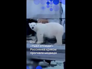 Женщина-метеоролог прогнала белого медведя с метеостанции на Новой Земле. Любопытный хищник пробрался на территорию, но... (видео)