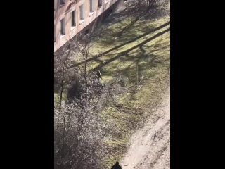 ❗ Хозяина собаки, которая покусала двух человек, задержали.    После нападения собаки без намордника в Кировском районе... (видео)