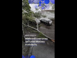 Майский снегопад обрушился на Москву и Подмосковье сегодня утром. В некоторых районах упали деревья, пострадали машины.... (видео)