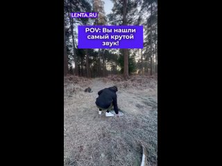 Это видео надо смотреть до конца и в наушниках.  Наслаждайтесь! ... (видео)