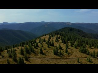 Видео от Хорена Гевондяна