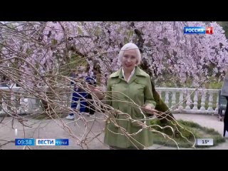 Сезон цветения магнолии продолжается в Сочи  В парке "Южные культуры" зацвели одновременно несколько растений.  Вместе... (видео)