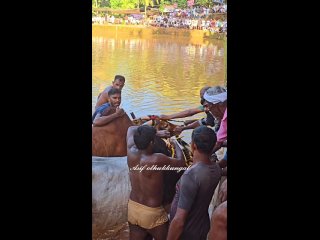 И ведь мы с ними на одной планете живём. - Alex Trask