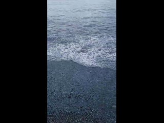 Что не так с кофе? Кружка грязная была или воду абы какую использовали? Я бы такое не стал пить. - Остап Блендер