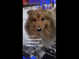 Вслед за Пермским краем снегопады пришли на Урал. Из-за непогоды начались проблемы с транспортом. Люди выталкивают... (видео)