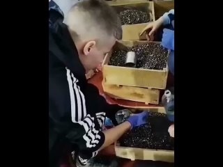 Ушлёпки безмозглые🤥 - Наталия Петрова