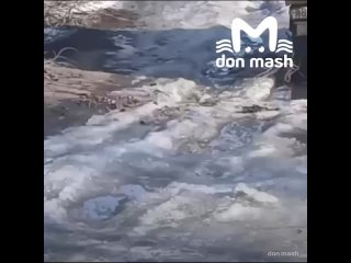«Это место, где Слюсарь приезжал и хвалил нашего мэра Петрова, возле этого мусорника как раз»    Шахтинские... (видео)