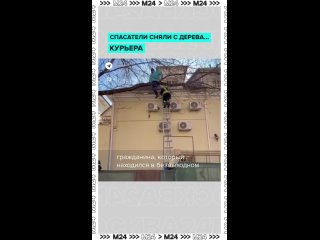 Такого мы ещё не видели 👆🏻    Росгвардейцы помогли снять с дерева… не, не очередного кота, а курьера. В неловкую... (видео)