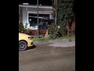Краснодарский решала застрелил бизнес-партнершу и протаранил витрину мясного магазина, который предприниматели не... (видео)