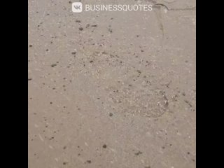 СИТУАЦИЯ УХУДШАЕТСЯ 😰  На пляжах города утром обнаружили новые выбросы мазута, что вызывает беспокойство среди местных... (видео)