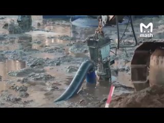 Мёртвого американского военнослужащего нашли в литовском болоте на границе с Белоруссией. Он и его трое сослуживцев... (видео)