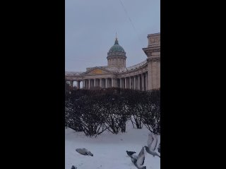 Снегопад у Казанского собора 🌨  Видео: andrei_mikhailov (видео)
