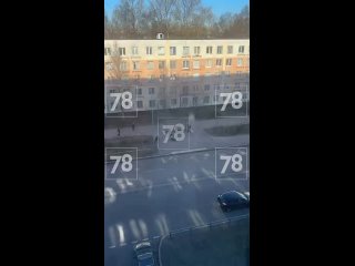 ❗ Хозяина собаки, которая покусала двух человек, задержали.    После нападения собаки без намордника в Кировском районе... (видео)