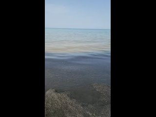 В Анапе туристы купаются среди скоплений мазута.  На территории Анапы временно закрыты все общественные пляжи.   Теперь... (видео)