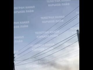 Адекватный ответ с нашей стороны будет, если это будет неделю продолжаться! Все здания СБУ и других силовых структур... - Сергей Фролов