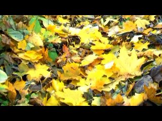 ЭТАЖИ - группа