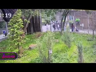 В Московском зоопарке пытались отравить животных неизвестными таблетками    Неизвестный пытался отравить животных... (видео)
