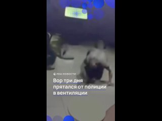Турецкие полицейские три дня искали вора в торговом центре. Злоумышленник ограбил ювелирный магазин и унес три... (видео)