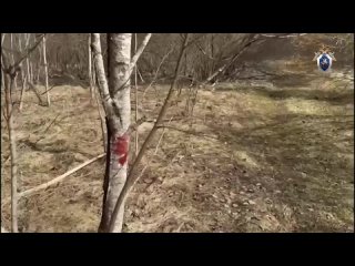 Житель деревни Липная Горка под Тихвином застрелил зятя, пасынка, двоих односельчан, собаку и тяжело ранил соседа.  ... (видео)