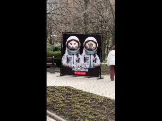 Русские котики были замечены на бульваре Пушкина в Донецке    На бульваре Пушкина в Донецке появился стенд для фото с... (видео)