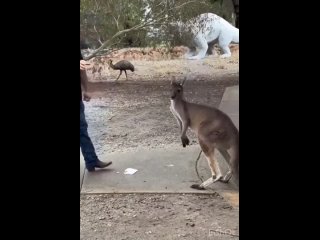 SPORT & FITNESS sport & fitness sport & fitness sport & fitness