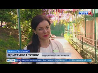 В зоопарке в Сочи родился редкий белый кенгуру  В зоопарке санатория "Октябрьский" в Сочи уже во второй раз рождается... (видео)