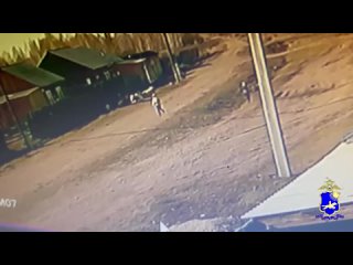 В Туве дети спалили 400 гектаров леса, играя в поход    Трое ребят из Тувы решили поиграть в «поход» по-взрослому — со... (видео)