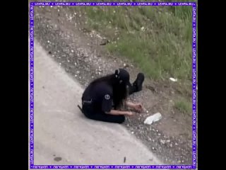 На трассе в Техасе прошёл настоящий монетный дождь.  Перевернулась фура с 10-центовыми монетами, и на дороге оказалось... (видео)