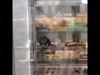Я вообще не понимаю почему пятёрочкам и магнитам разрешают продавать выпечку с открытых прилавков, это же полнейшая... - Татьяна Филлиповна