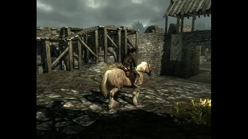 Skyrim Horse with No