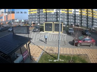 В Ростове-на-Дону неизвестные выкинули кошку с балкона 17-го этажа — местные жители винят в случившемся «наркоманов»   ... (видео)