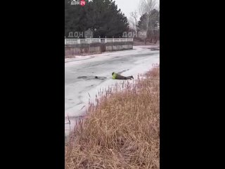 В хуторе Обуховка отважная женщина спасла собаку из ледяной воды. На кадрах мастер-класс как нужно спасать утопающих,... (видео)