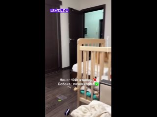 Это очень хорошо, любовь к животным делает человека добрее ... - Нина Федорова