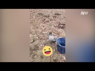 СМЕШНЫЕ ПРИКОЛЫ | ЛУЧШЕЕ ЗА ВСЕ ВРЕМЯ | НОВЫЕ ПРИКОЛ