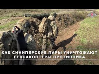 Снайперы группировки войск «Центр» уничтожили более 50 гексакоптеров «Баба-Яга» ВСУ на Красноармейском направлении.   ... (видео)