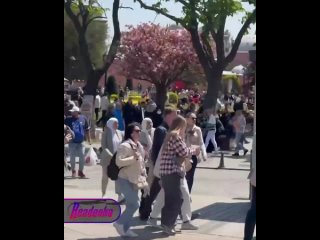 В Стамбуле произошло землетрясение — момент толчков пришелся на время прямого эфира на местном канале    В Стамбуле... (видео)