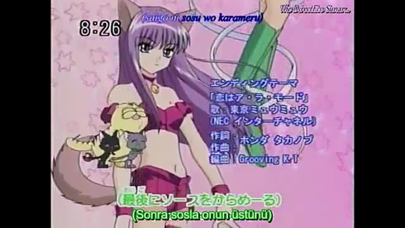 Tokyo Mew Mew 12. Bölüm