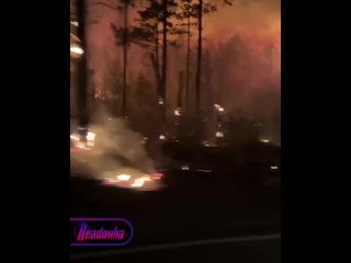Апокалиптические кадры из Амурской области — из-за пожаров небо окрасилось в оранжевый цвет  В Амурской области... (видео)