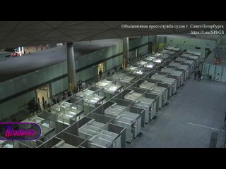 Обкуренный тагильский марафонец вломился в питерский аэропорт, бегал по залам и дрался с контролерами, пытаясь улететь... (видео)
