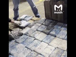 Партию кокаина на ПОЛМИЛЛИАРДА рублей обнаружили в порту Санкт-Петербурга. Запрещёнку пытались ввезти под видом... (видео)
